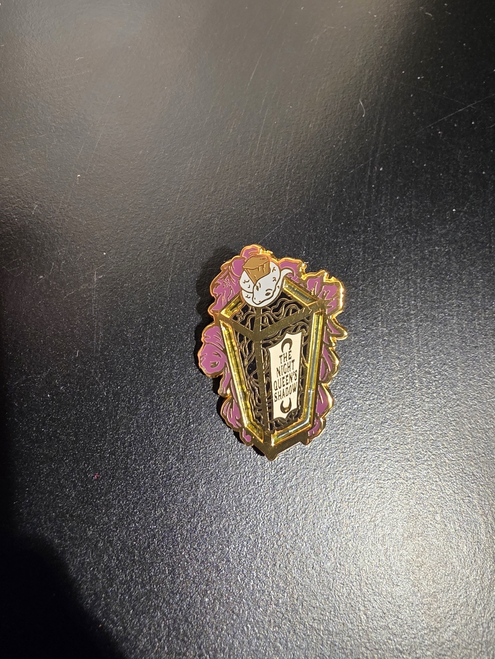 Bookish Book Box A Kiss Of Iron Pin Rare The Knight Queen's Shadow